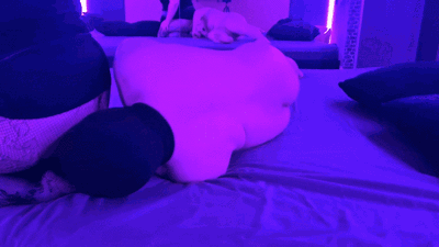 BBW Ass Worship in Fish Nets