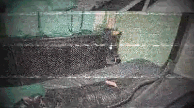 Mummified, ruined and locked
