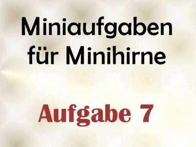 Miniaufgaben für Minihirne - Aufgabe 7
