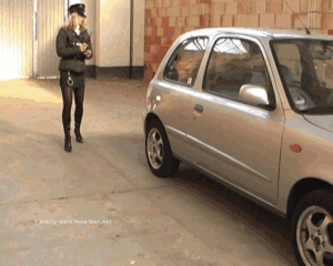 Parking offenders