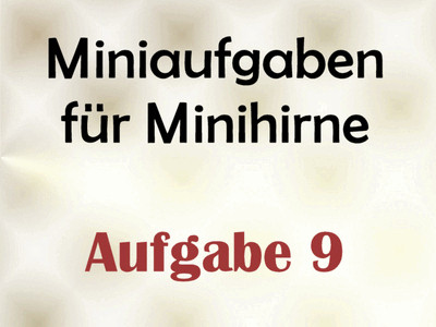 Miniaufgabe für Minihirne - Aufgabe 9