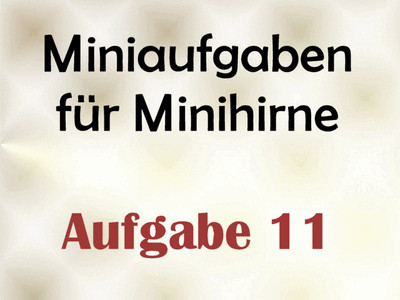 Miniaufgabe für Minihirne - Aufgabe 11