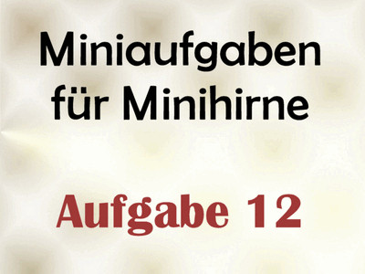 Miniaufgabe für Minihirne - Aufgabe 12