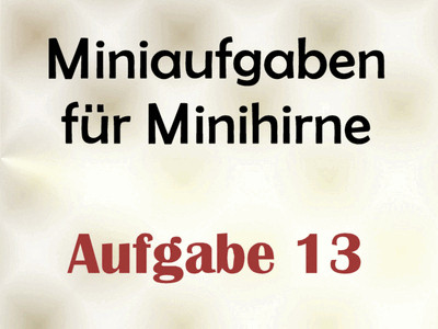 Miniaufgabe für Minihirne - Aufgabe 13