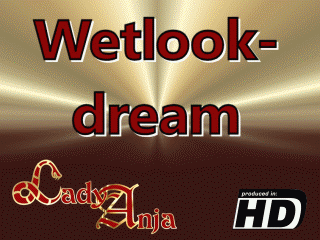 Wetlookdream
