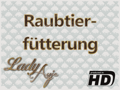 Raubtierfütterung