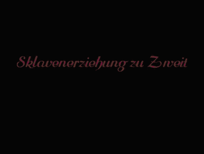 Sklavenerziehung zu Zweit - die extreme Sneakerreinigung