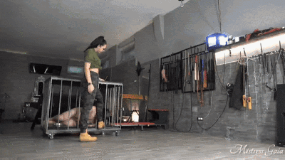 MISTRESS GAIA - MANY KICKS FOR THE FAT SLAVE - HD