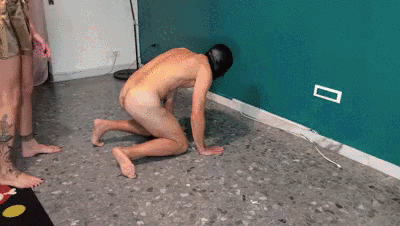 Extreme ballbusting