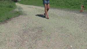 Sweet Doll ************
