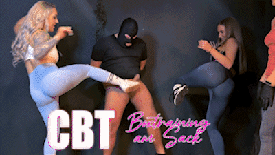 CBT - Box training on the balls