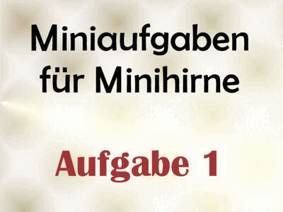 Miniaufgaben für Minihirne - Aufgabe 1