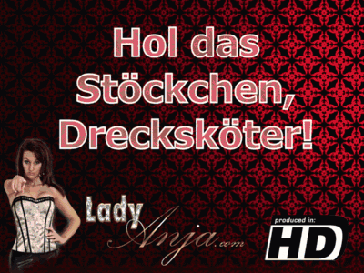 Hol das Stöckchen, Drecksköter!