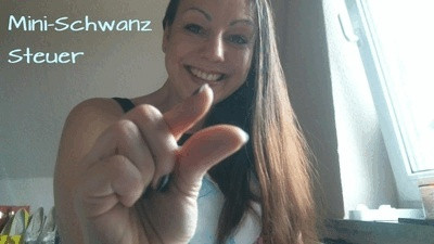 Mini-Schwanz Steuer