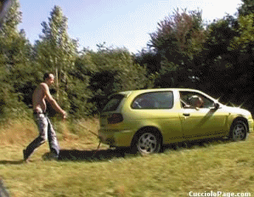 Driving School