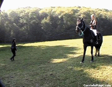 The Riding Instructor