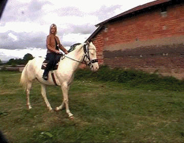 The Horse Dealer 6