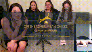 OFFENBACHER MEAN CHICKS: pig tears