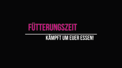 Fütterungszeit - kämpft um euer Essen!