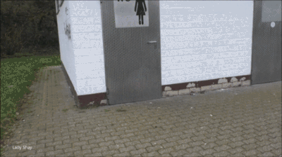 Autobahn Parkplatz Klo! So eklig versifft und doch perfekt für dich!!