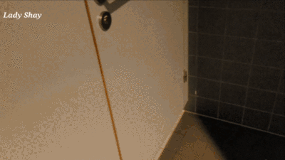 Airport female toilet