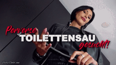 Perverse Toilettensau gesucht!