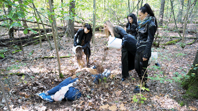 Buried in the forest
