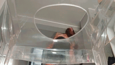 You will be my toilet