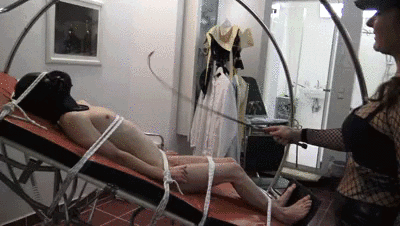 Femdom 230